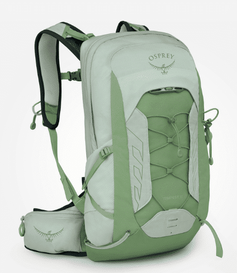 frosty-mint-green-botanica